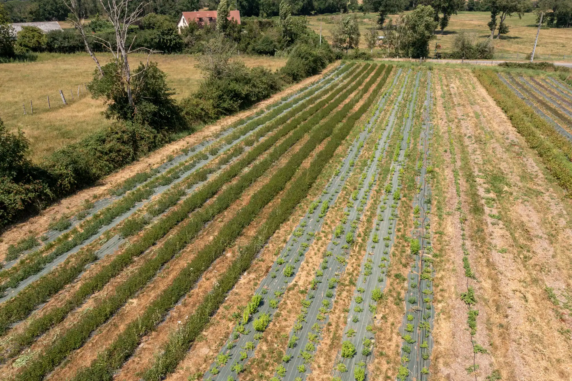 coopérative agricole de producteurs