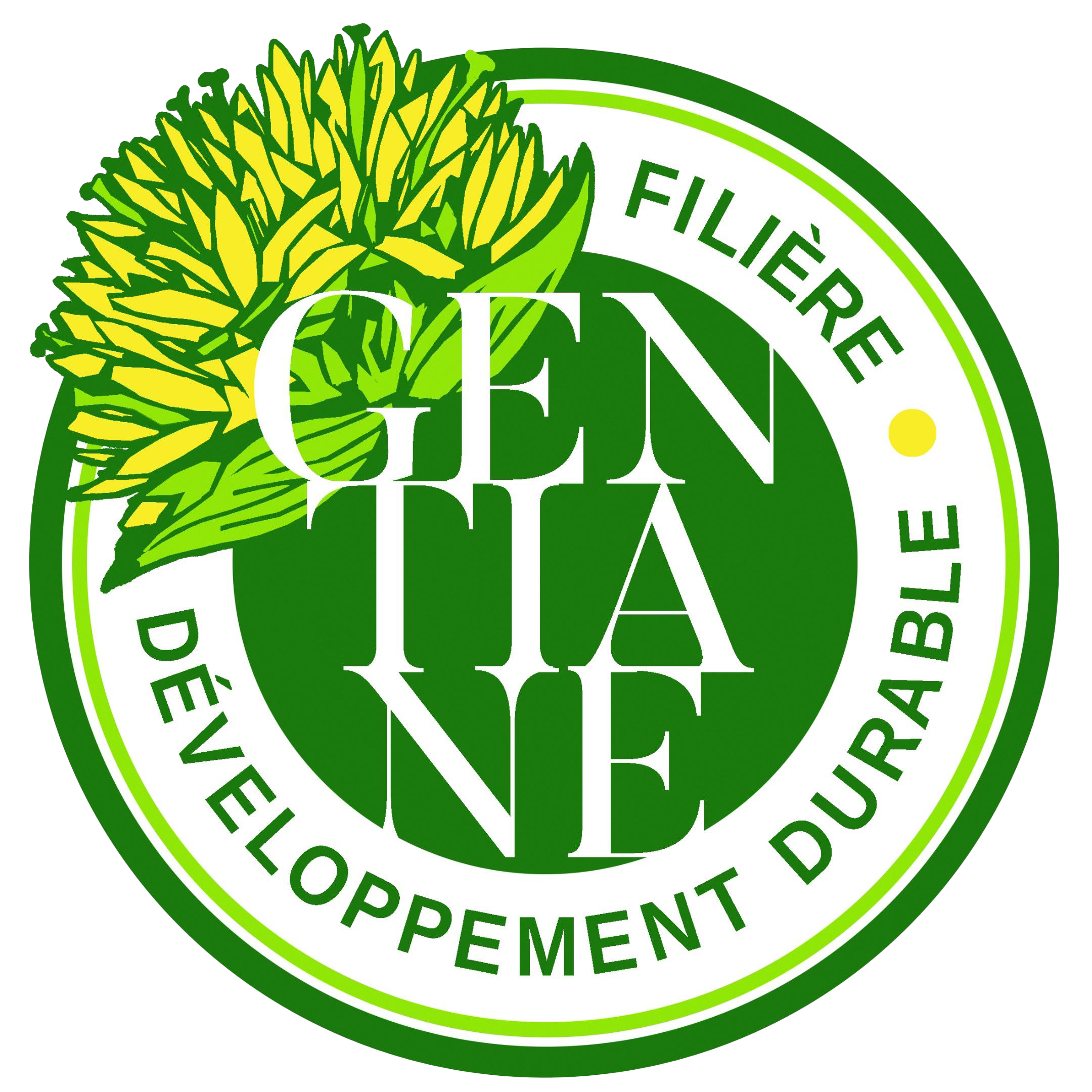 logo gentiane